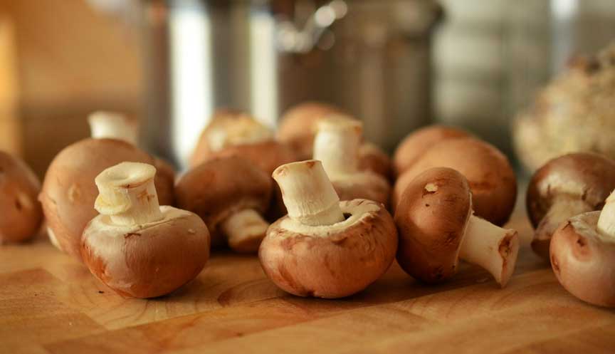Vegetarische Bitterbal: Crispy Revolutie in Snackwereld